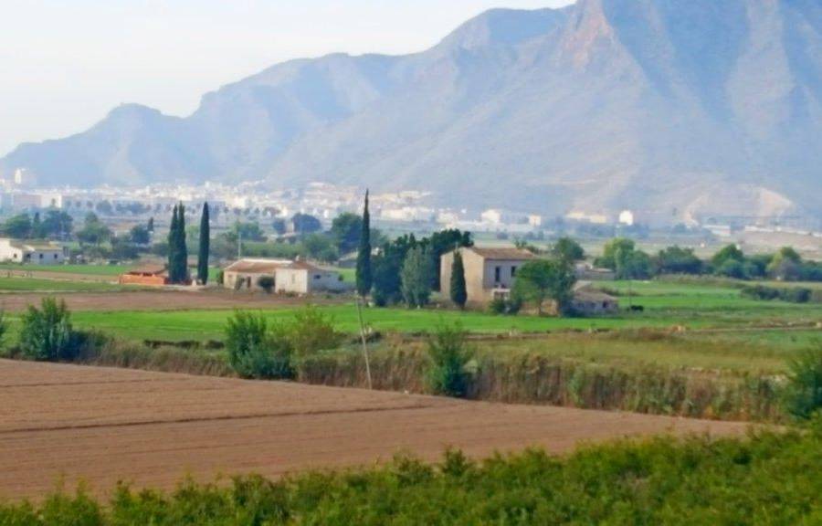 Resale Properties - Country Land - Callosa del Segura