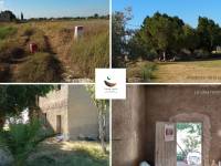 Resale Properties - Country Land - Callosa del Segura